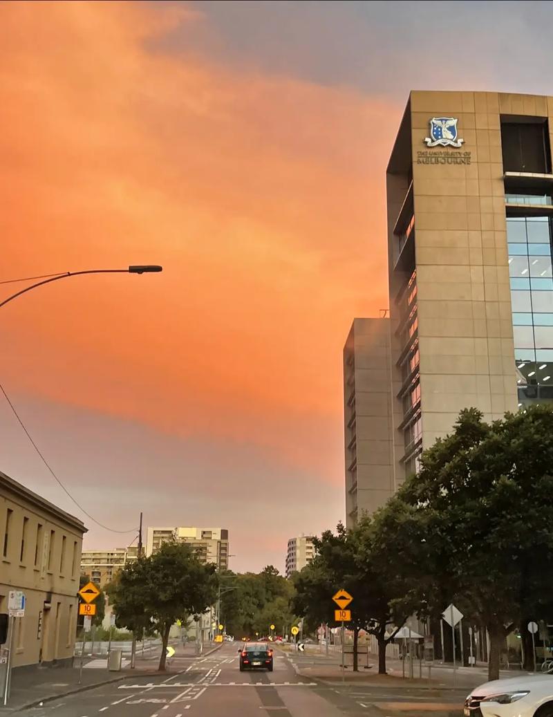 麦克马斯特大学